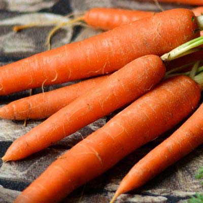Carrots: Beta-Carotene Boost
