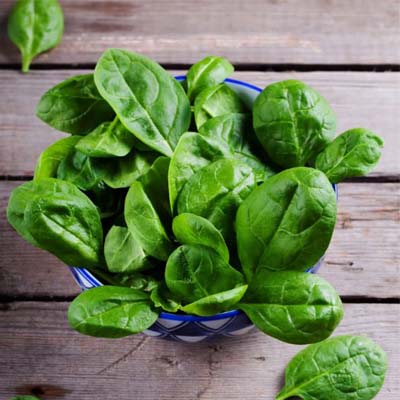 Spinach: A Nutrient-Dense Delight