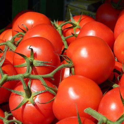 Tomatoes: Juicy and Nutrient-Packed